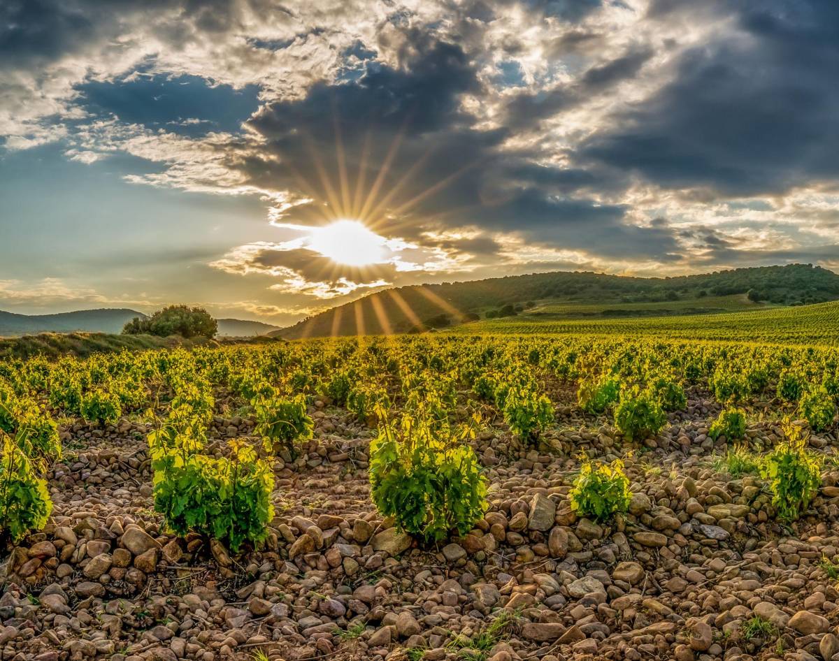 Discover Spain Gallery