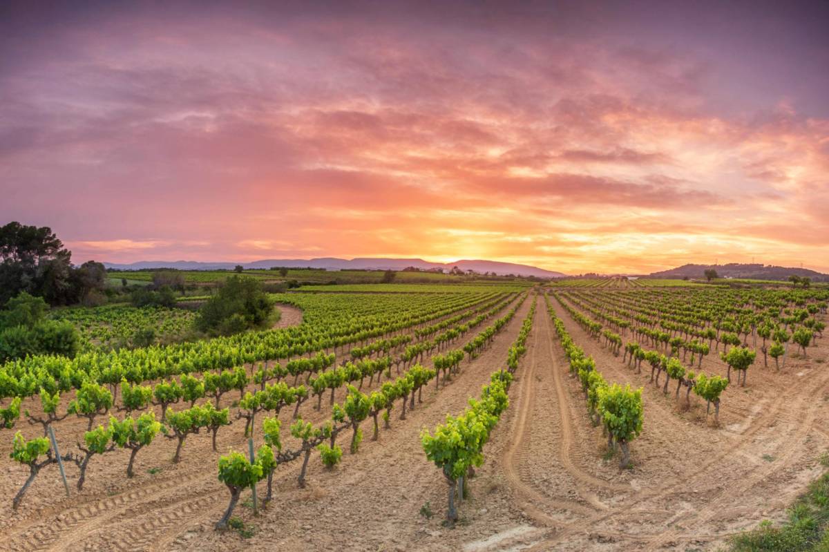 Discover Spain Gallery